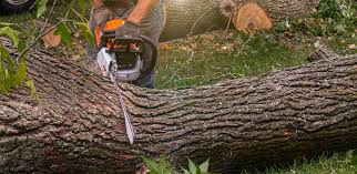 Best Artificial Turf Installation  in Highland Heights, OH