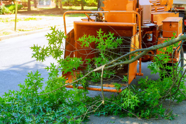 Best Lawn Mowing  in Highland Heights, OH