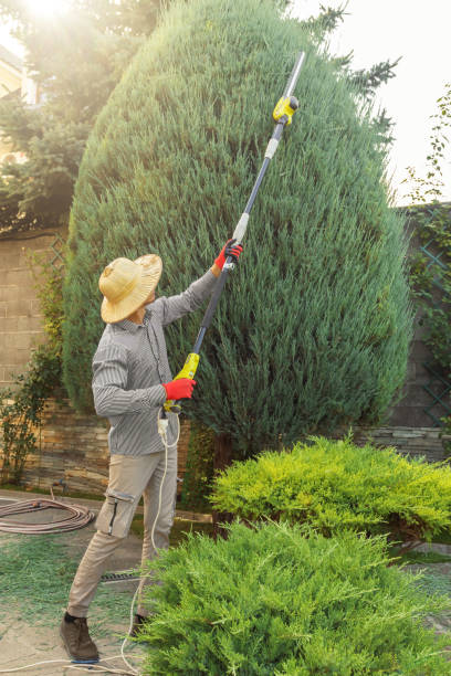 Best Tree Risk Assessment  in Highland Heights, OH